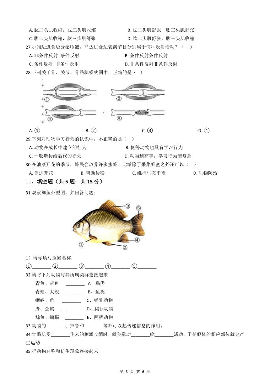 人教版八年级生物上学期期中模拟试题（附答案）