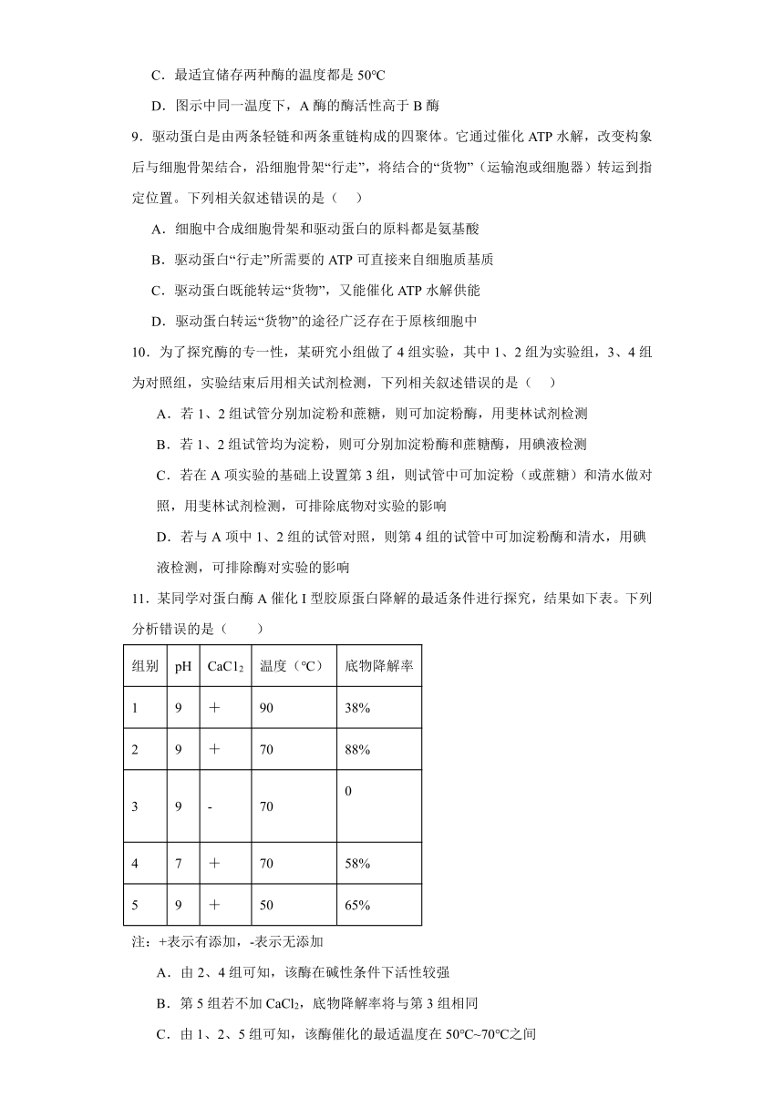 3.1生命活动需要酶和能源物质 练习（解析版）