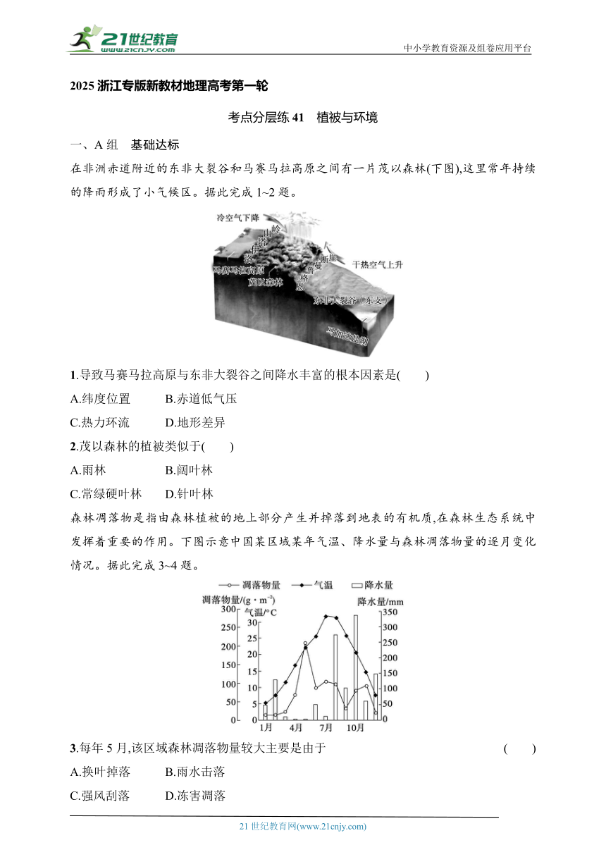 2024浙江专版新教材地理高考第一轮基础练--考点分层练41　植被与环境（含解析）