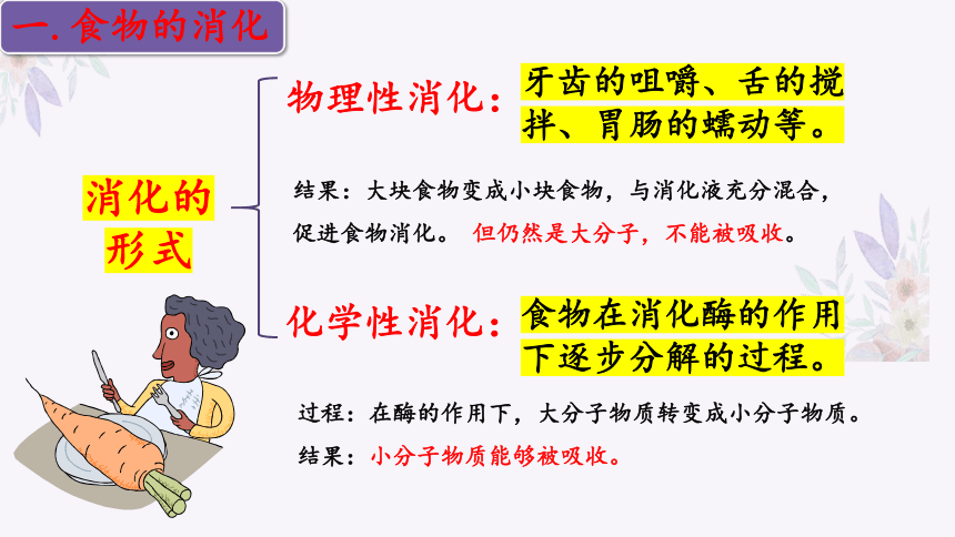 4.9.2 人体的消化与吸收（第二课时）-2023-2024学年七年级生物下册同步精品课堂（苏教版）(共31张PPT)