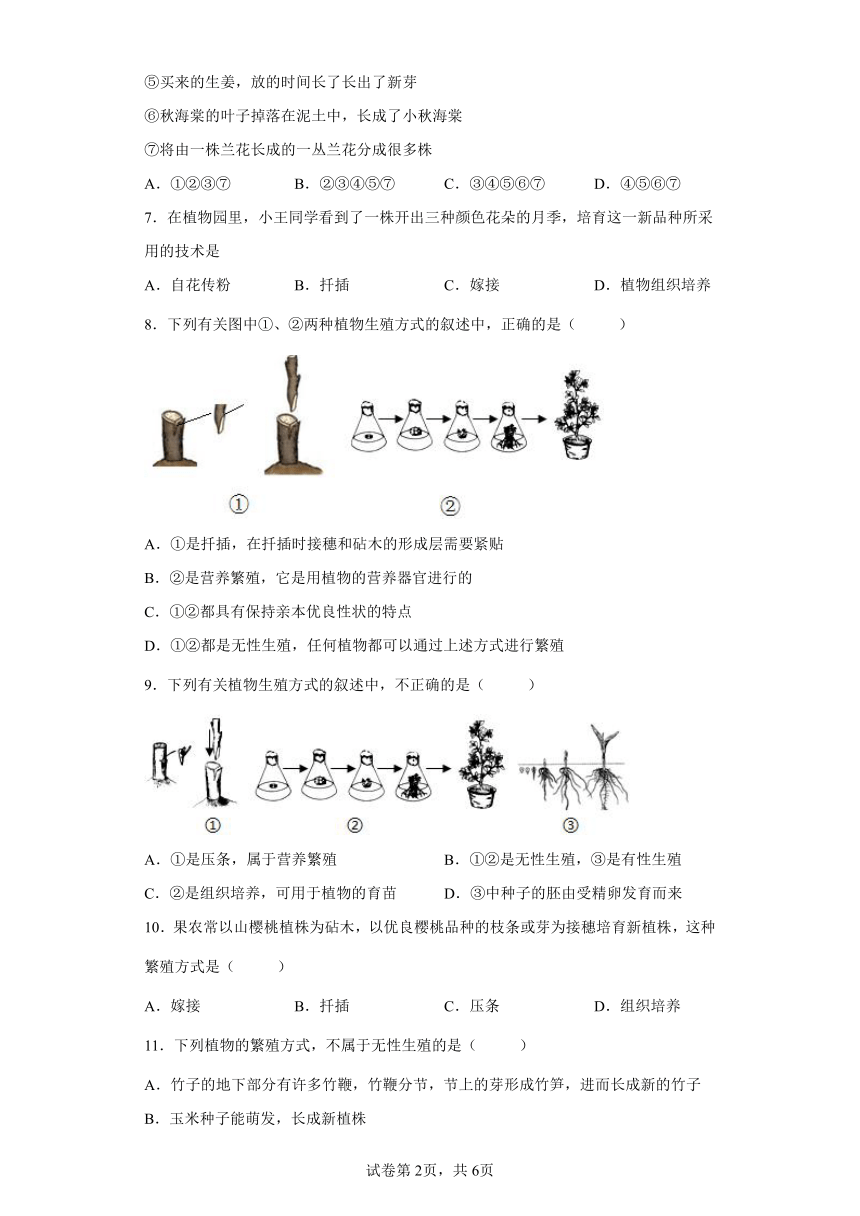 7.1.1植物的生殖同步练习（含解析）人教版八年级下册