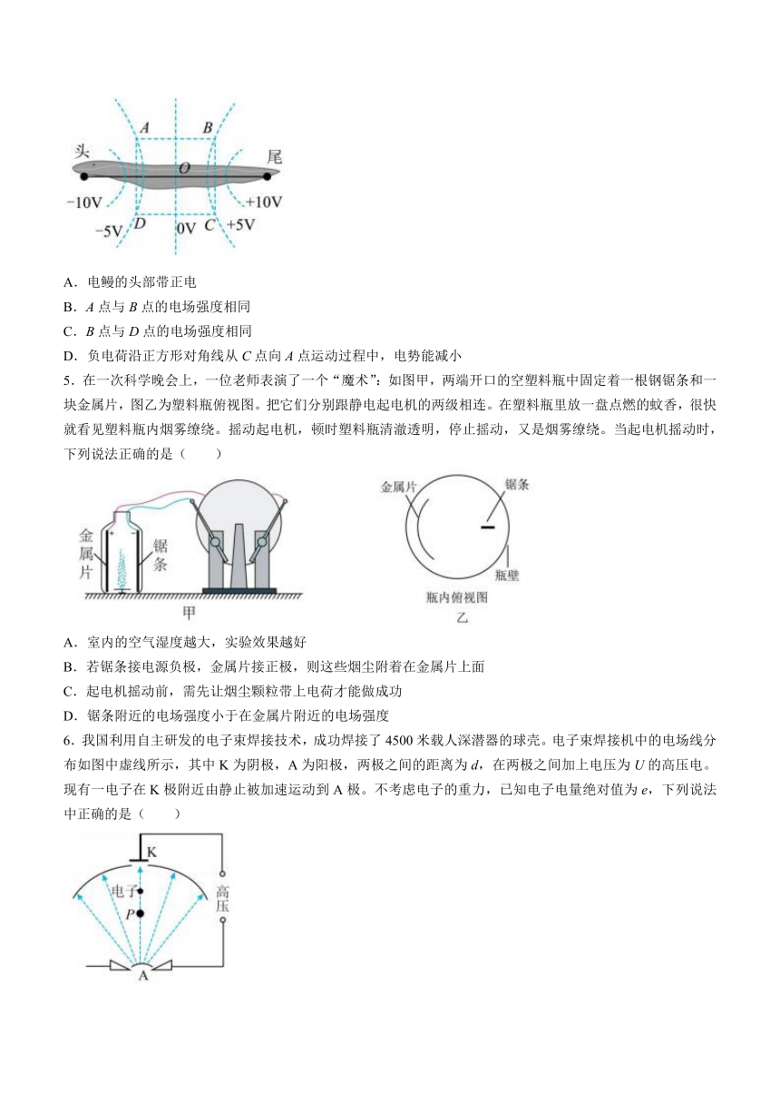 广东省湛江市重点中学2023-2024学年高二上学期10月月考物理试题（含答案）