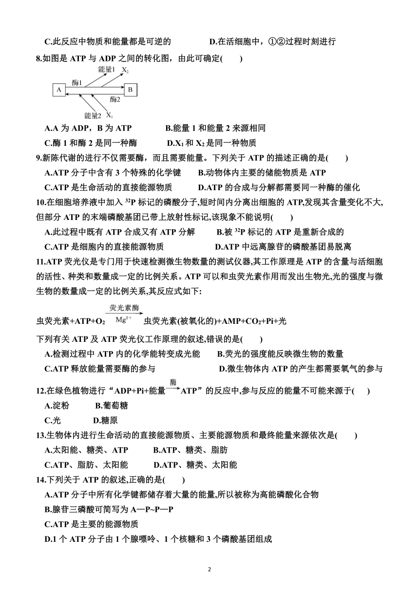 5.2   细胞的能量“货币”ATP（同步训练）（附解析）——2023—2024学年人教版（2019）生物高一上学期必修1