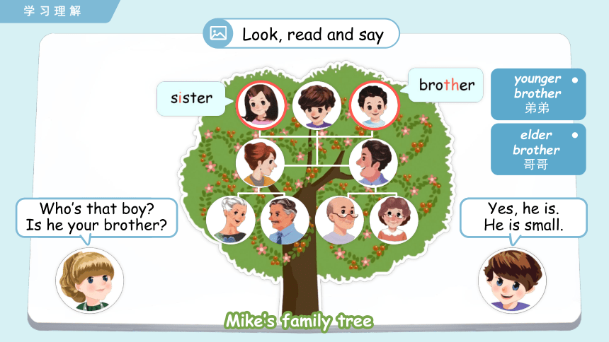 Unit 2 My family  Part B Let’s learn 课件(共30张PPT)