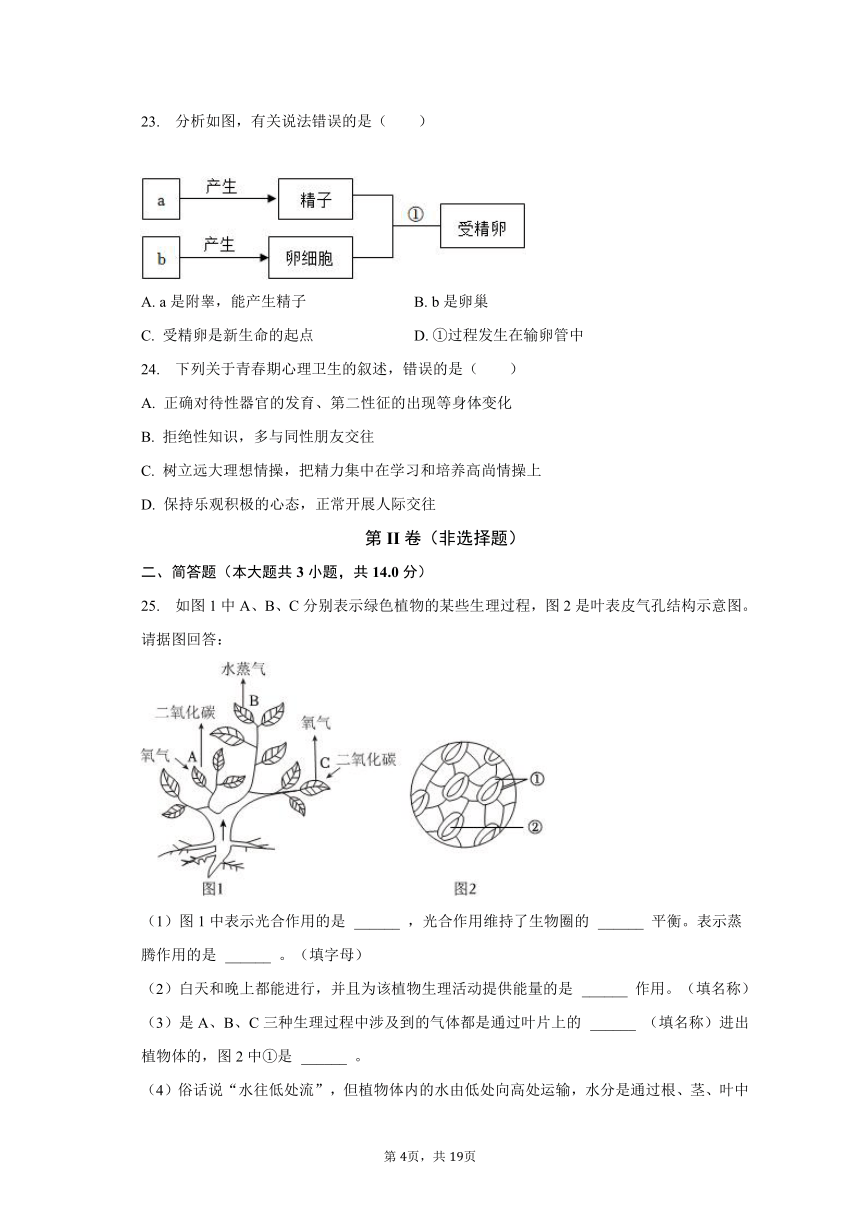 2022-2023学年宁夏银川市第十五中学八年级（下）开学生物试卷（含解析）