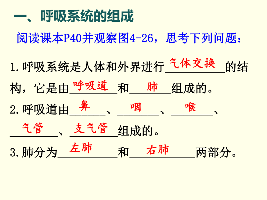 4.3.1 呼吸道对空气的处理 课件(共19张PPT)2022-2023学年人教版生物七年级下册