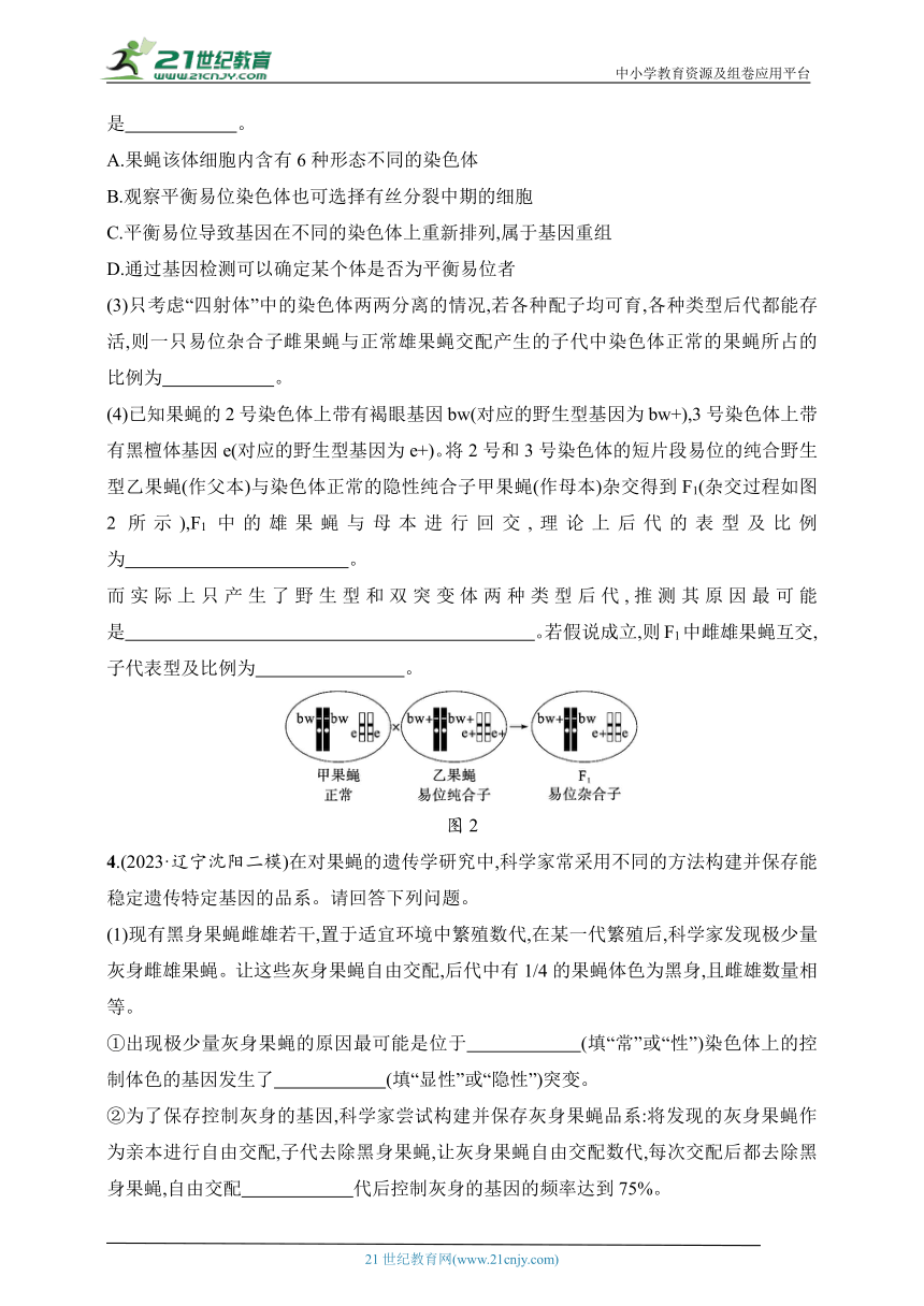 【备考2024】高中生物二轮专题练习  3.变异与育种（含解析）