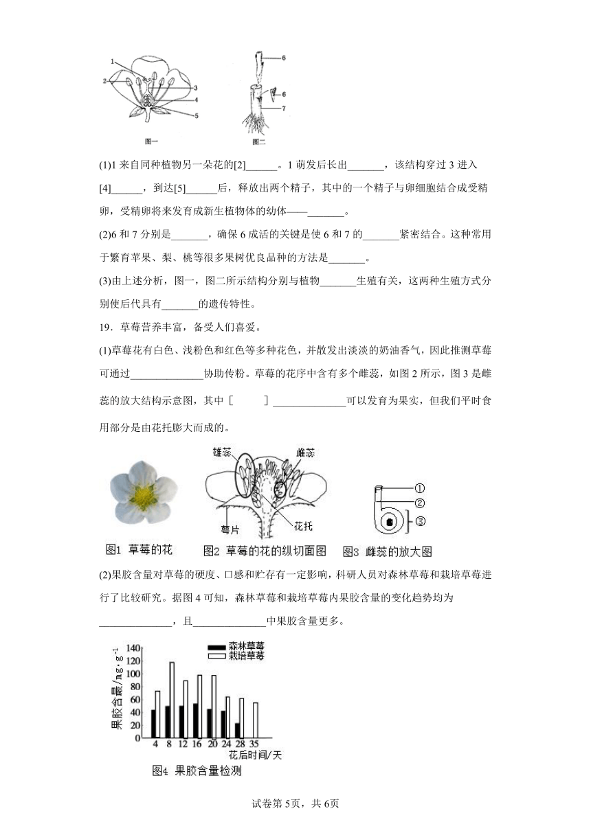 7.1.1植物的生殖同步练习（含解析）人教版八年级下册