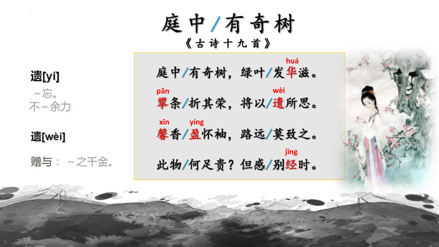 2023-2024学年统编版语文八年级上册第三单元课外古诗词诵读《庭中有奇树》课件（共14张ppt）