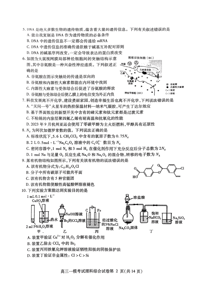 2024届四川省内江市高中高三上学期12月第一次模拟考试理科综合试题（PDF版含答案）