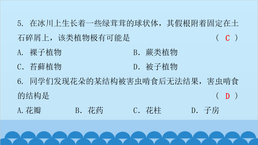 2024年广东省初中学业水平考试仿真试卷(二)习题课件(共41张PPT)