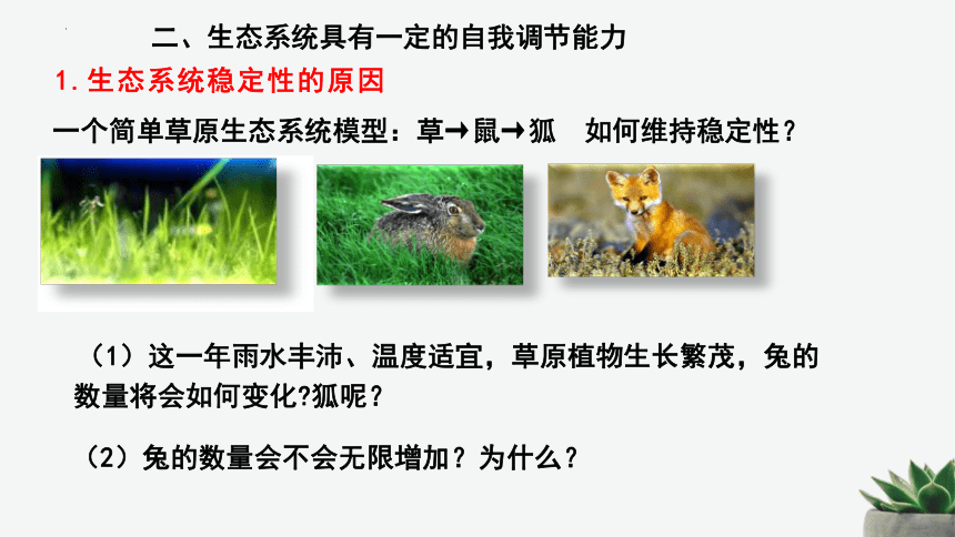 8.23.4生态系统的稳定性课件 (共25张PPT)北师大版生物八年级下册