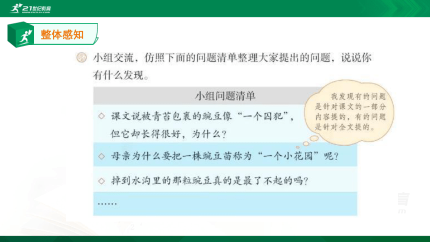 5一个豆荚里的五粒豆 课件