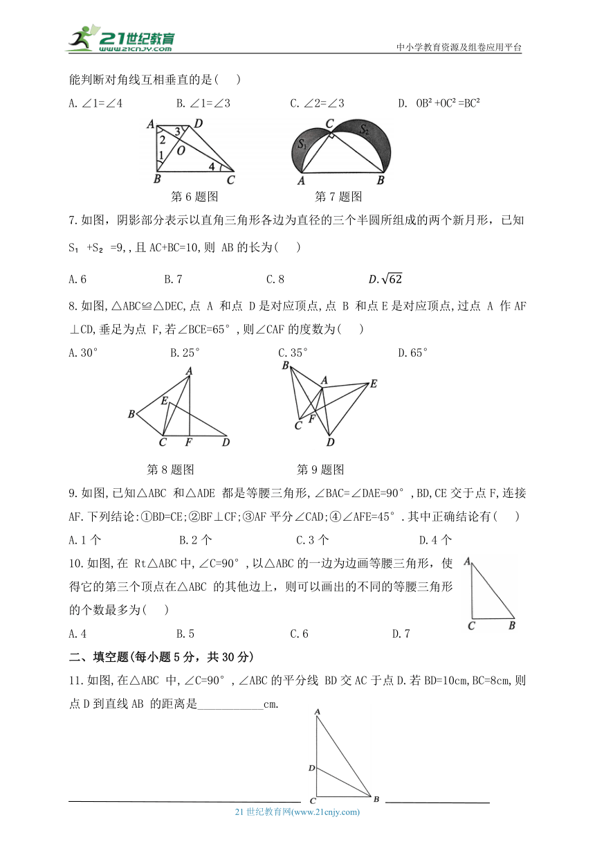 鲁教版七年级上册期中测试数学卷（含答案）