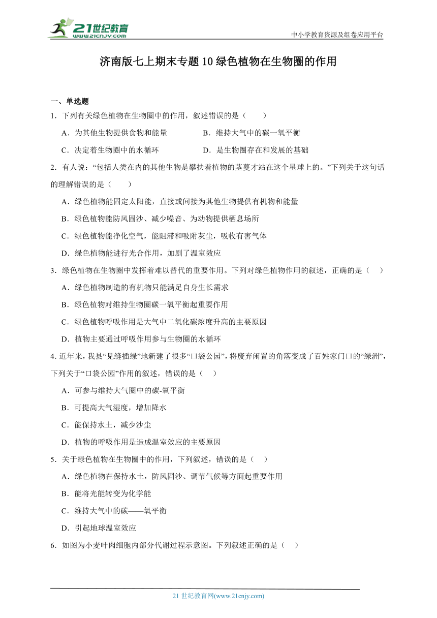 2023-2024学年初中生物济南版七年级上册期末复习专题10——绿色植物在生物圈的作用（答案 解析）