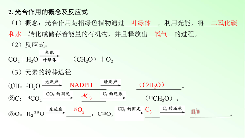 新教材生物一轮复习课件：第3单元 细胞的能量供应和利用 第5讲　光合作用的原理及影响因素(共100张PPT)