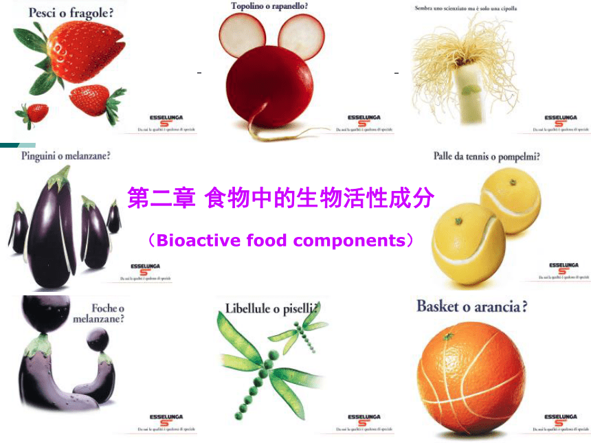 2食物中的生物活性成分 课件(共20张PPT)- 《营养与食品卫生学》同步教学（人卫版·第7版）