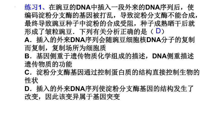 4.2基因表达与性状的关系课件（共33张PPT）人教版（2019）必修2