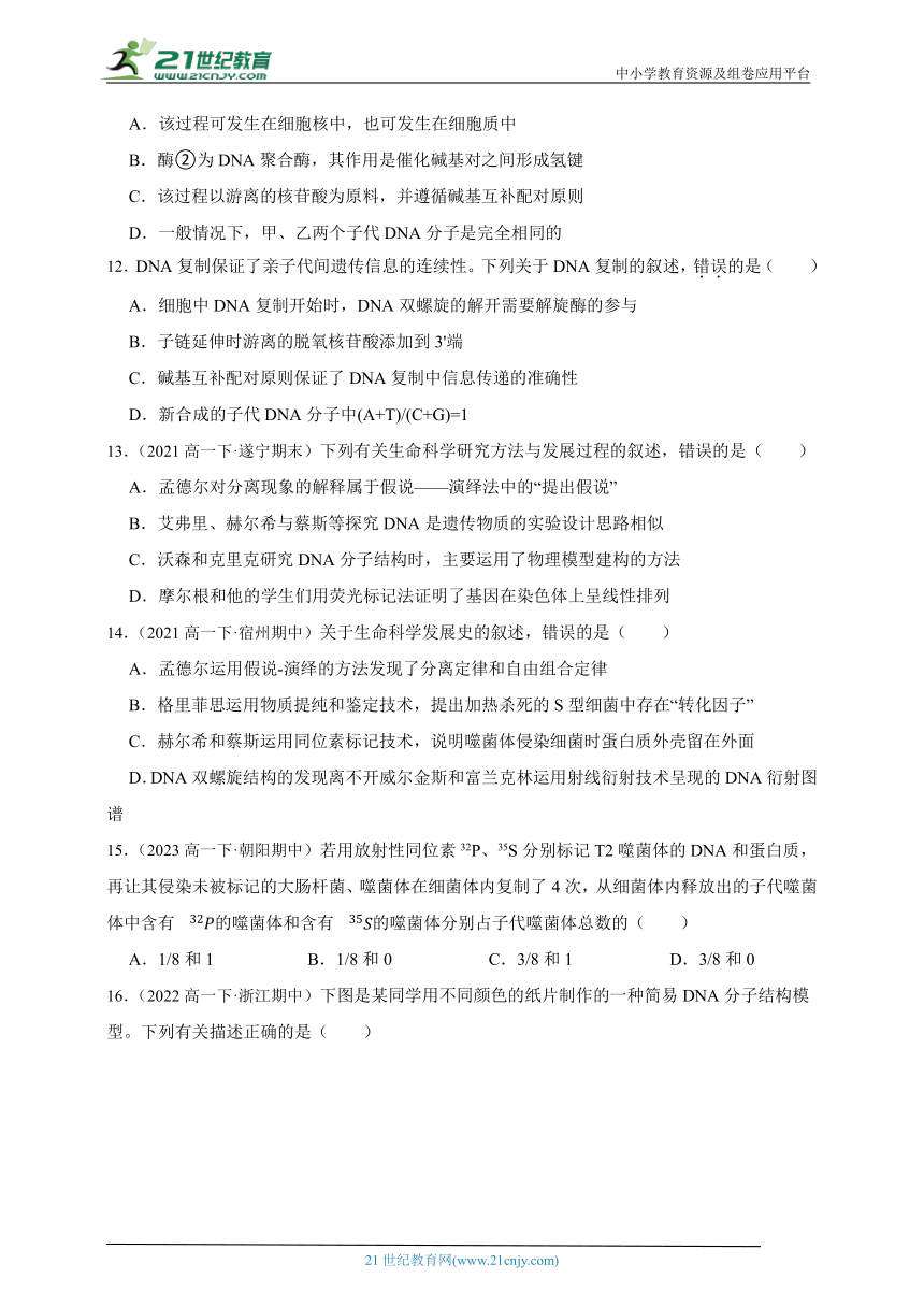 人教版（2019）高中生物必修2遗传与进化第三章基因的本质章节综合必刷题（解析版）