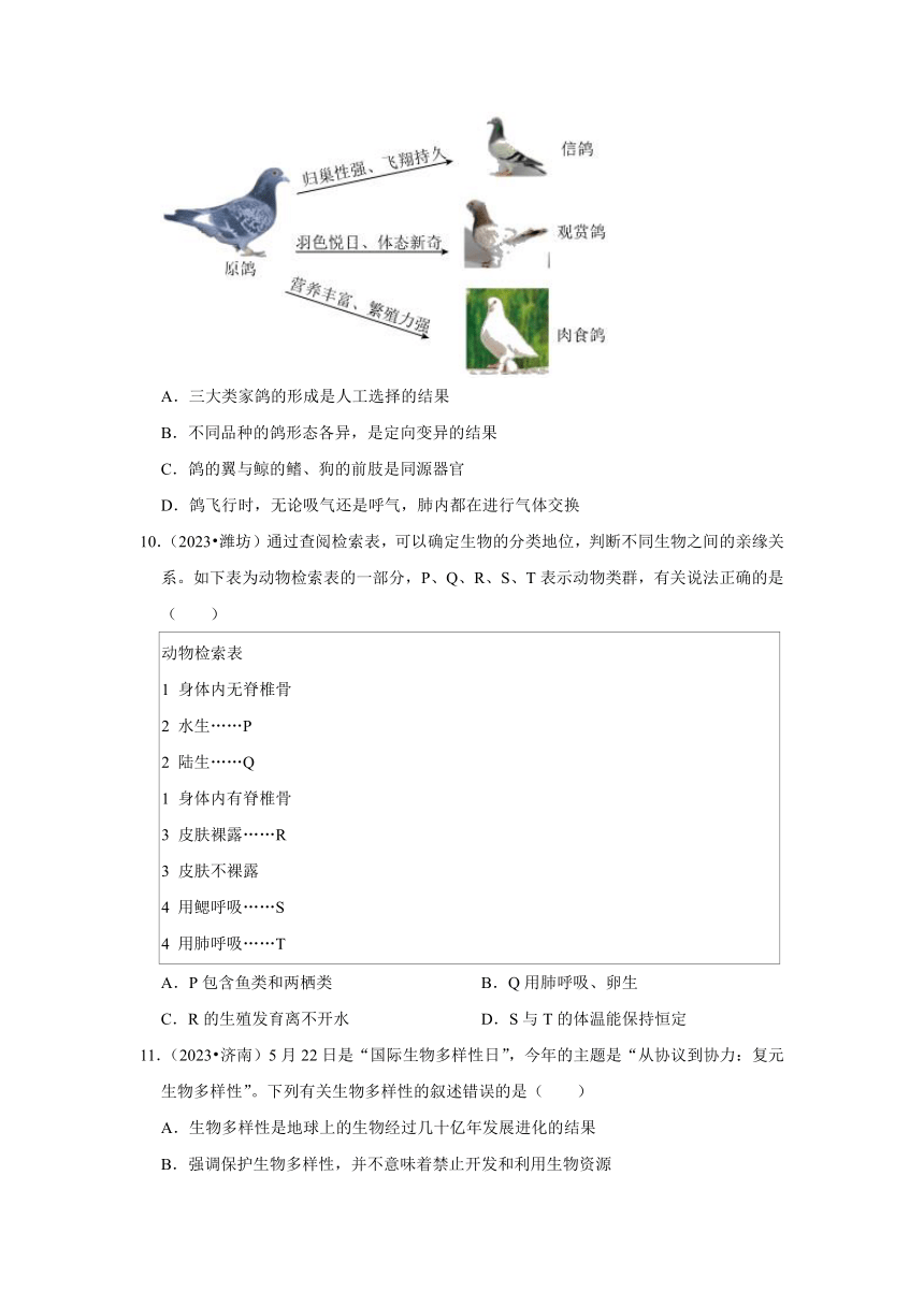 专题6生物的多样性——2022-2023年山东省中考生物试题分类（含解析）