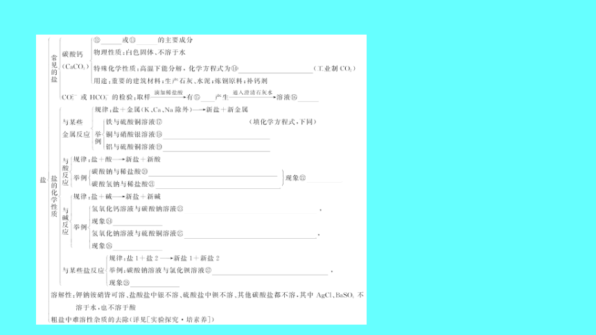 2024湖南中考复习 人教版化学 第十一单元　盐　化肥　课件(共50张PPT)