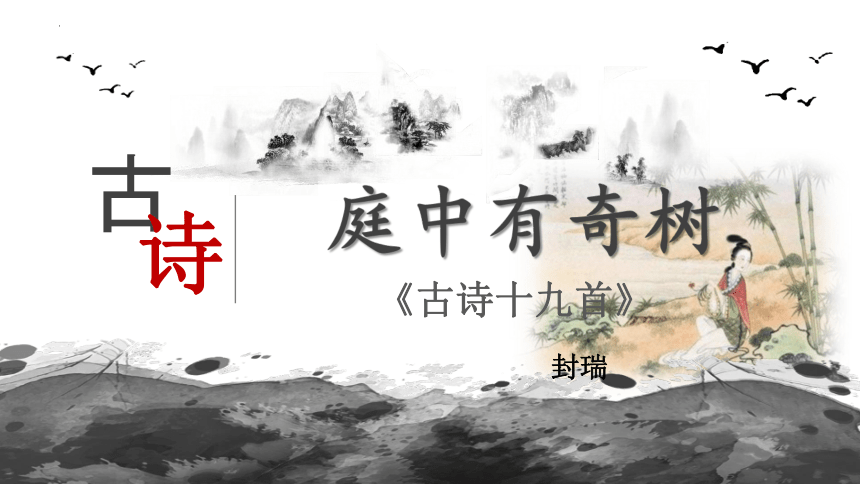 2023-2024学年统编版语文八年级上册第三单元课外古诗词诵读《庭中有奇树》课件（共14张ppt）