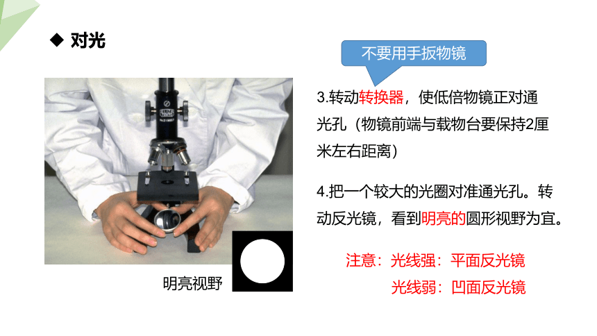 2.1.1 练习使用显微镜 课件 （共23张PPT）2023-2024学年初中生物人教版七年级上册