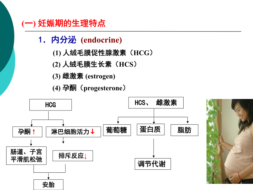 5特殊人群的营养-1 课件(共26张PPT)- 《营养与食品卫生学》同步教学（人卫版·第7版）