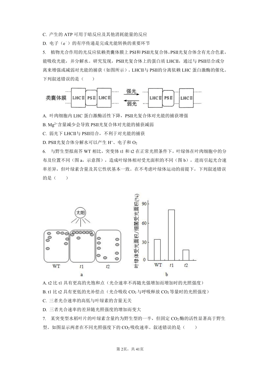 【真题分类汇编】考点05：光合作用（有解析）--2019-2023年高中生物真题分类汇编专题练习