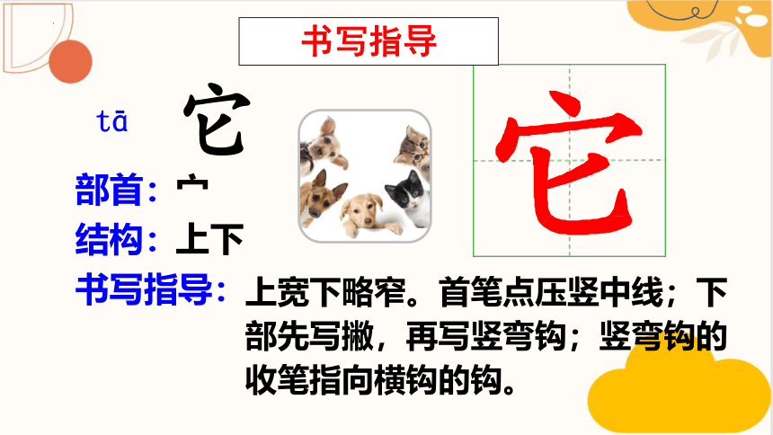 3 植物妈妈有办法 课件(共21张PPT)