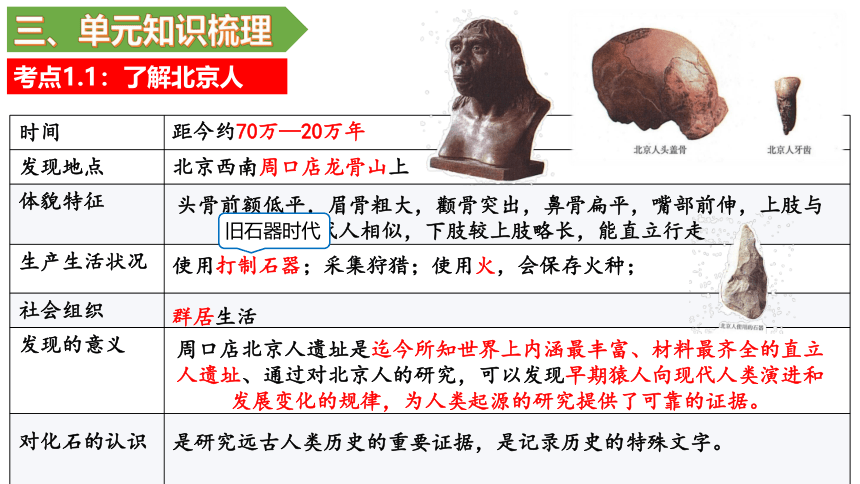 第一单元 史前时期：中国境内早期人类与文明的起源 单元复习课件