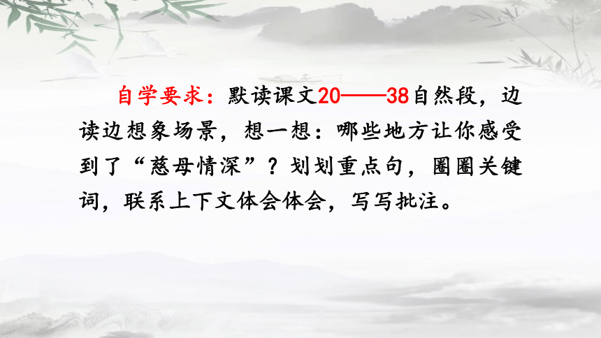 18慈母情深（第二课时） 课件 (共29张PPT)