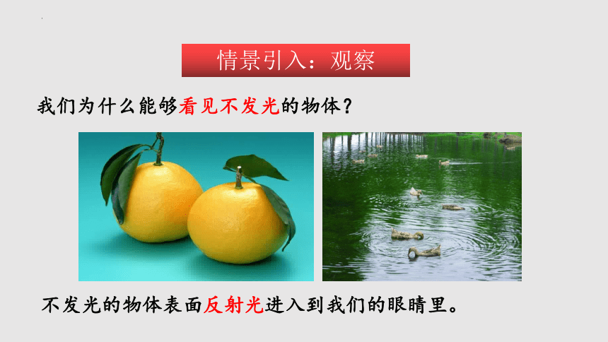 3.5 光的反射（课件）(共49张PPT)八年级物理上册同步备课（苏科版）