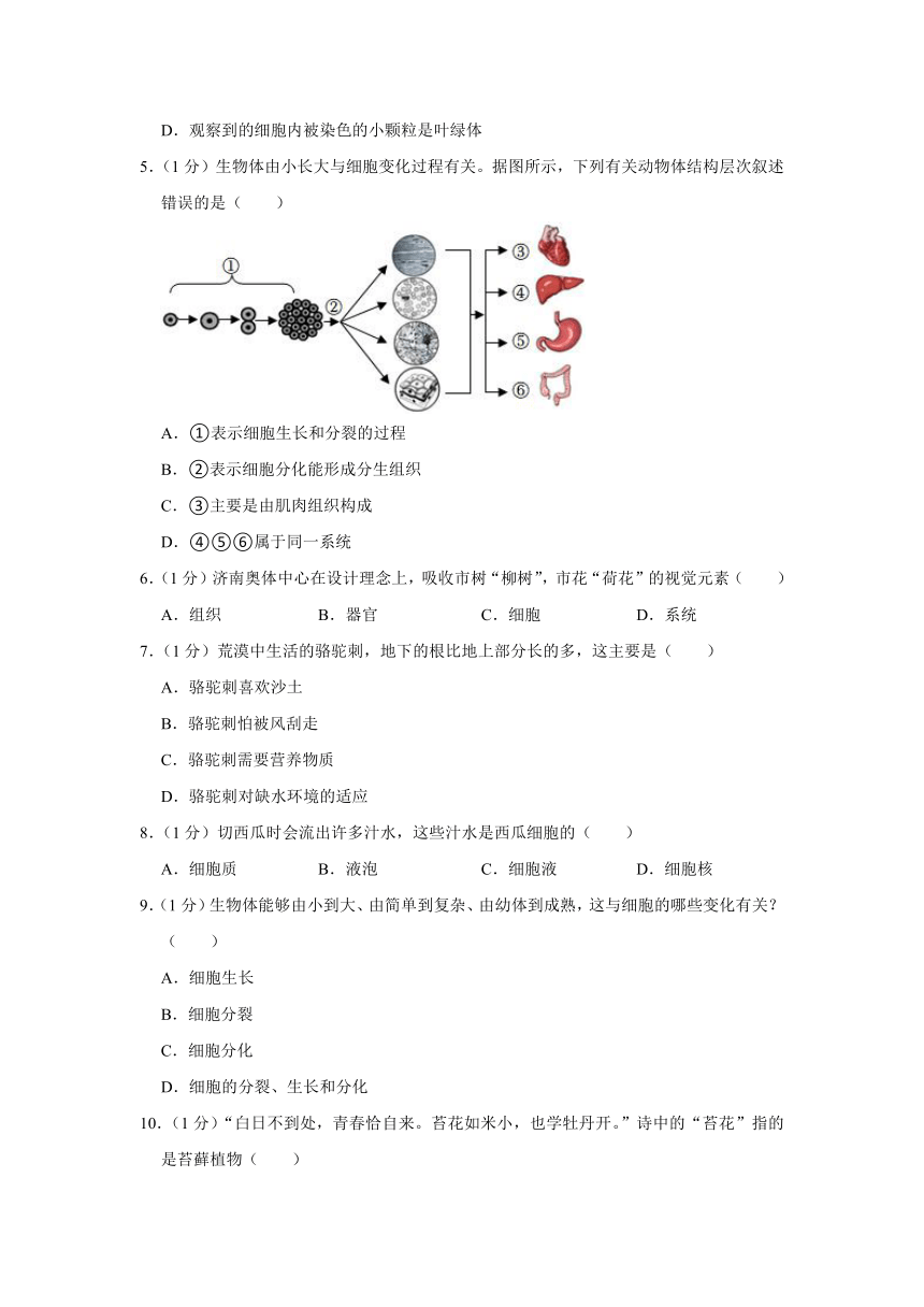 2023-2024学年山东省菏泽市牡丹区王浩屯初级中学九年级（上）月考生物试卷（10月份）（含解析）