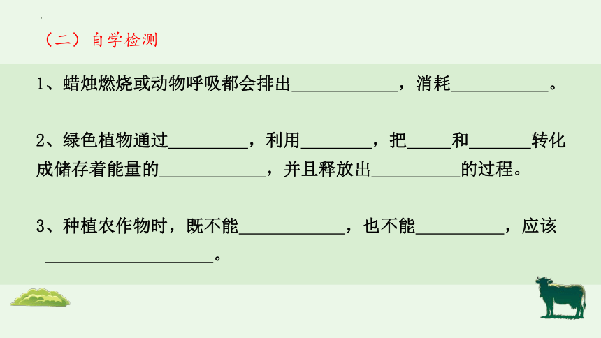 3.5.1 光合作用吸收二氧化碳释放氧气-【备课精选】2023-2024学年七年级生物上册同步教学精品课件(共22张PPT)