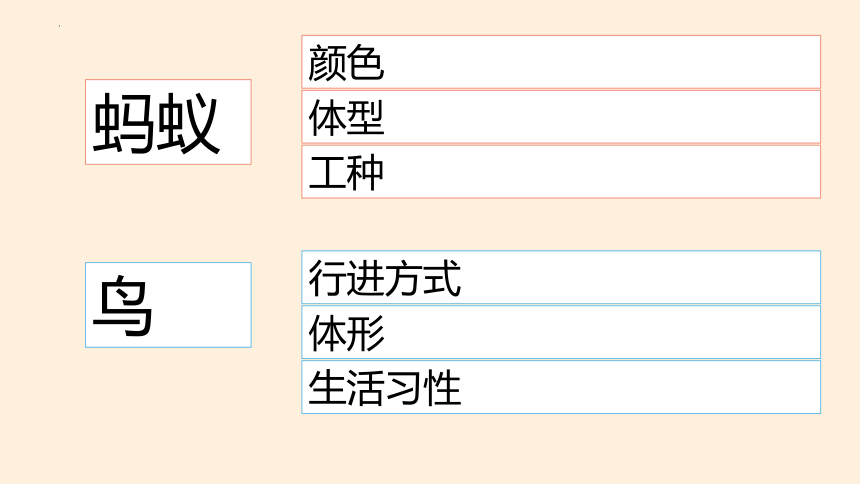 6《飞向蓝天的恐龙》（课件）（共35张ppt）