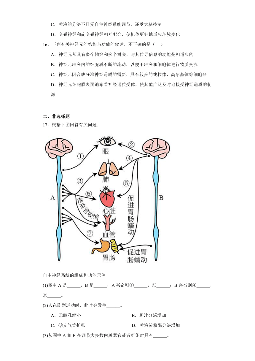 2.1神经系统是神经调节的结构基础 同步练习（含解析）浙科版（2019）选择性必修1