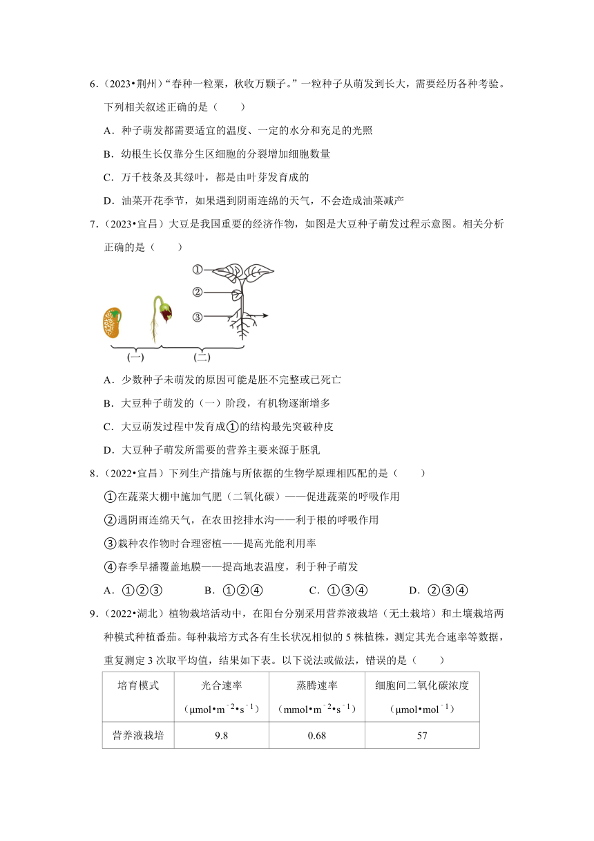 专题3绿色植物——2022-2023年湖北省中考生物试题分类（word版+解析版）