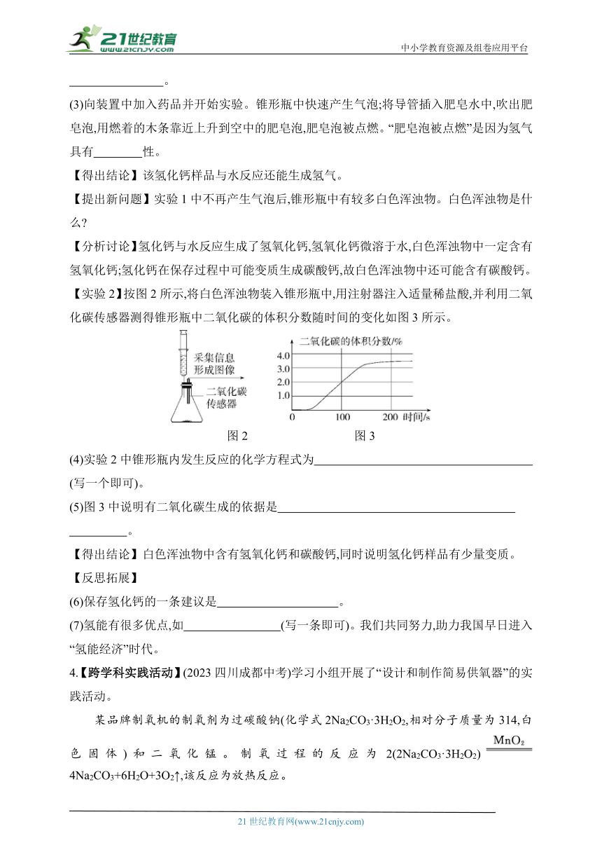 2024北京课改化学九年级下学期课时练--专项素养综合全练（六）   科学探究