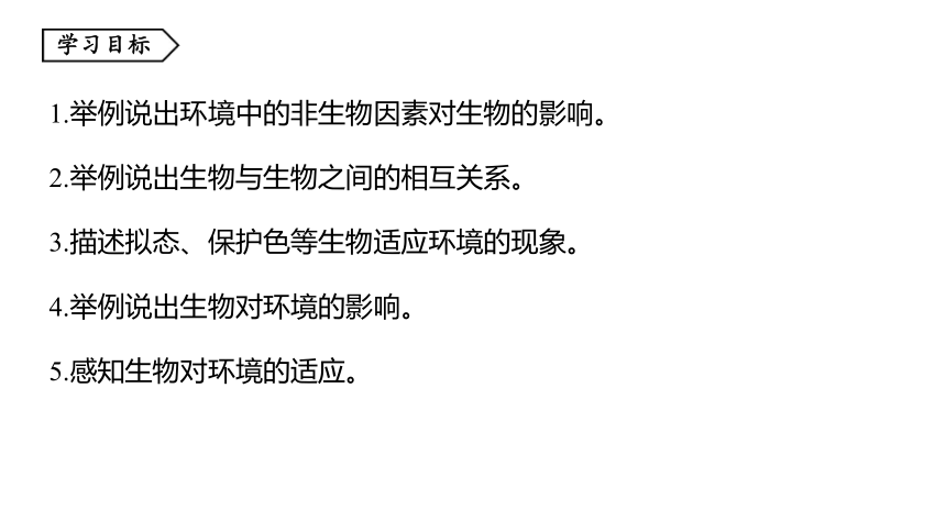 2.1生物与环境的相互关系（课件 17张PPT 学案)