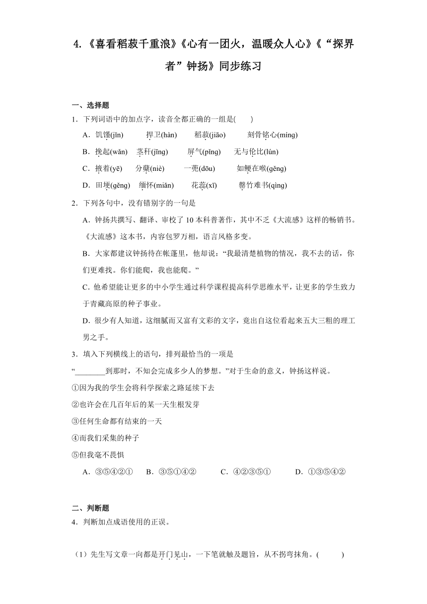 第二单元4.《喜看稻菽千重浪》《心有一团火，温暖众人心》《“探界者”钟扬》同步练习（含答案）2023-2024学年统编版（部编版）必修 上册