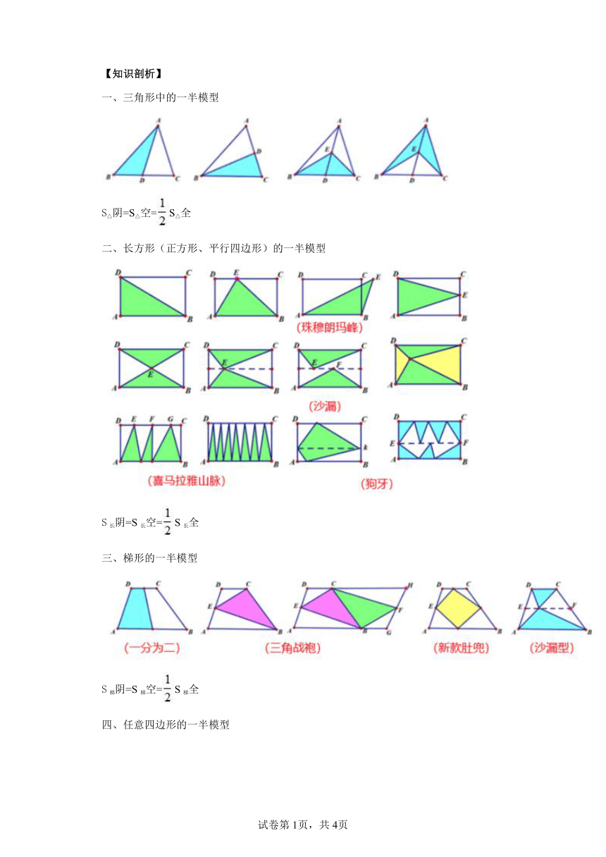 人教版五年级下册数学思维训练一半模型（含答案）