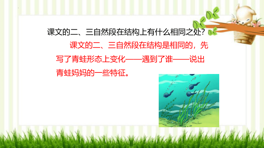 1 小蝌蚪找妈妈 课件(共22张PPT)