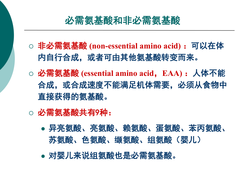 1营养学基础-4蛋白质 课件(共46张PPT)- 《营养与食品卫生学》同步教学（人卫版·第7版）