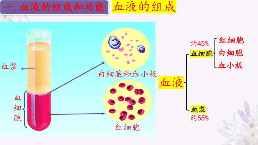 4.10.1血液和血型（第一课时）课件(共32张PPT)苏教版七年级生物下册