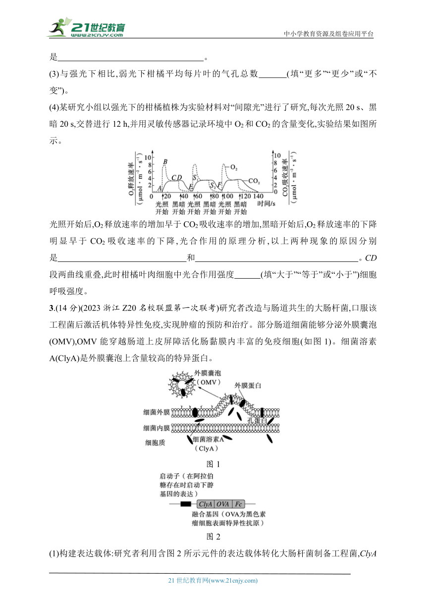 2025浙科版新教材生物学高考第一轮基础练--非选择题限时练(二)（含解析）