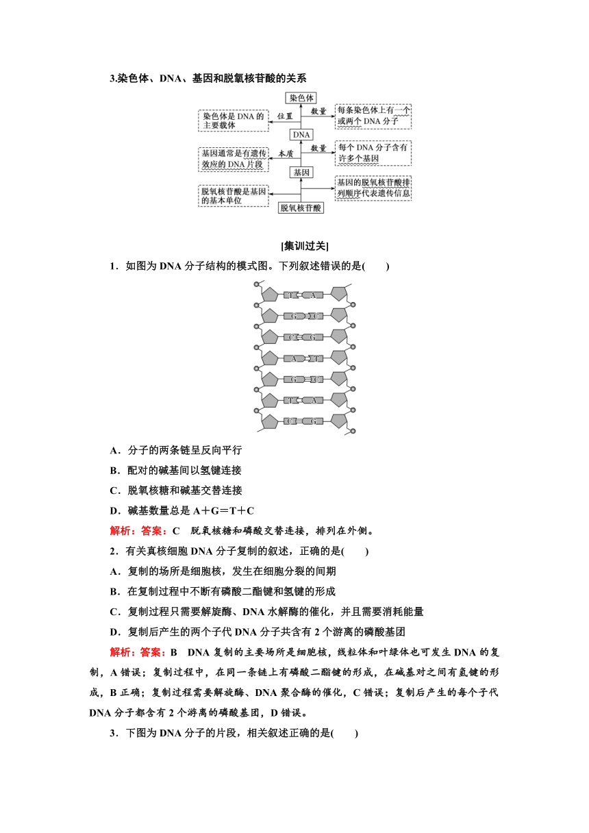 人教2019生物学必修2学业水平考试常考点习题集锦：常考点六　DNA的结构和复制（含解析）