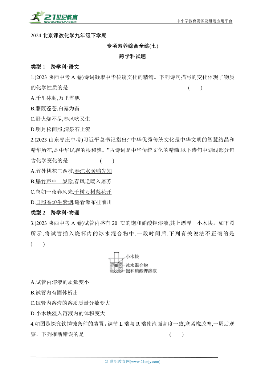 2024北京课改化学九年级下学期课时练--专项素养综合全练（七）   跨学科试题