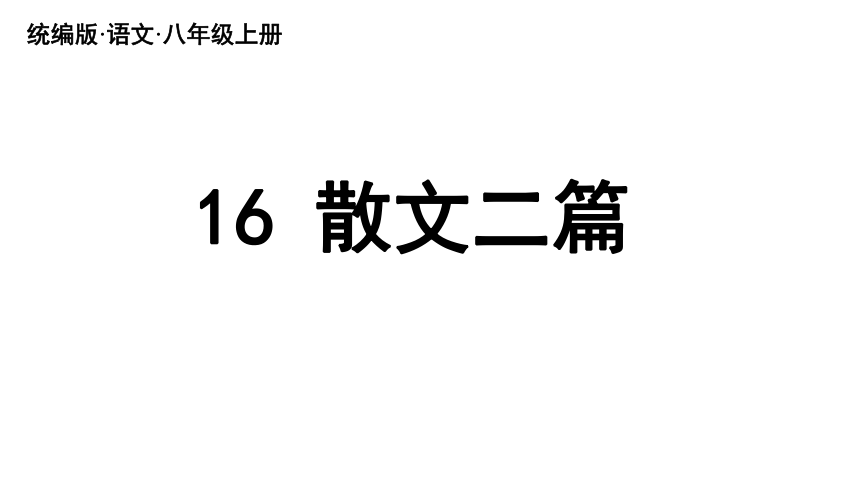 16《散文二篇》课件(共69张PPT)