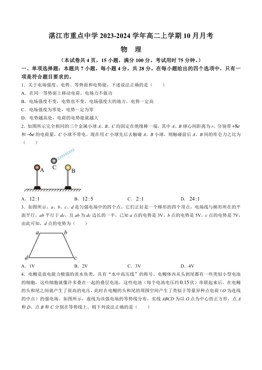 广东省湛江市重点中学2023-2024学年高二上学期10月月考物理试题（含答案）